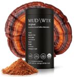 MUDWTR Original Mushroom Coffee Alternative | 2,240mg USA Grown & Adaptogenic Mushrooms | USDA Organic | Lion’s Mane, Cordyceps, Chaga & Reishi | Energy, Focus & Immunity Support | 30 Servings